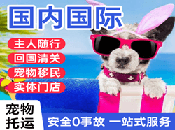 长安机场托运国际宠物托运 【国
